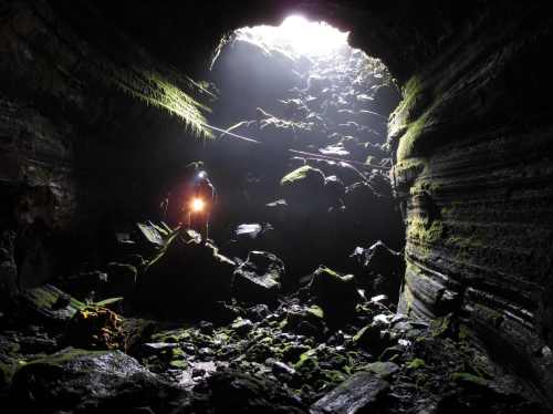 A person with a flashlight explores a dark cave, illuminated by light from the entrance, surrounded by mossy rocks.