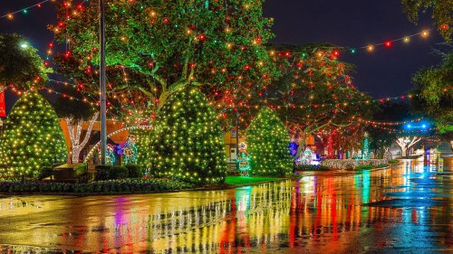 A festive street scene at night, adorned with colorful Christmas lights reflecting on wet pavement.