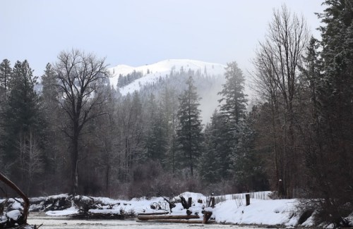 A snowy landscape featuring a river, trees, and a misty mountain in the background.