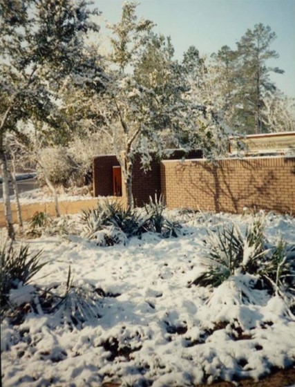 A snowy landscape with trees and shrubs, featuring a brick wall and a hint of a building in the background.
