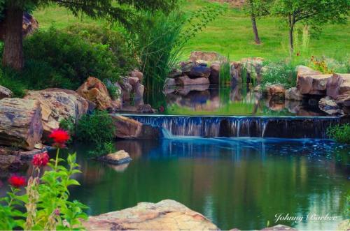 A serene pond with a small waterfall, surrounded by lush greenery and colorful flowers.