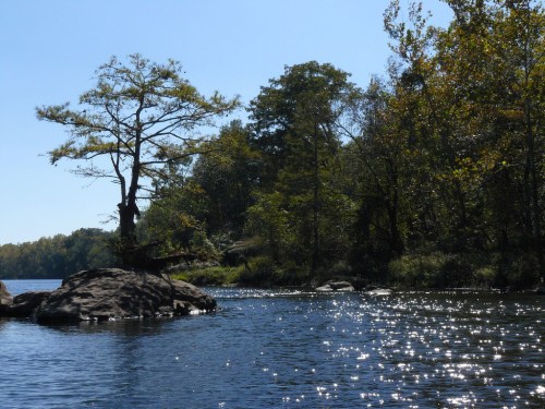 A serene lake scene with sparkling water, surrounded by trees and rocky outcrops under a clear blue sky.