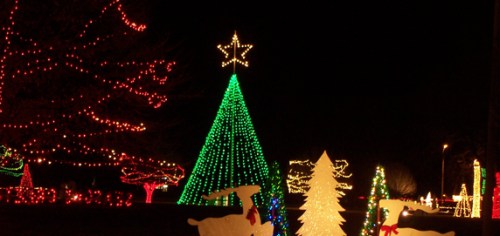 Colorful Christmas lights illuminate a festive scene with a green tree, star, and decorative reindeer.