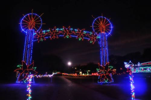 Colorful holiday lights form an archway, with stars and palm trees, under a night sky and a glowing moon.