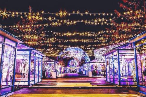 A vibrant night scene with colorful lights and decorations illuminating a pathway lined with glass structures.