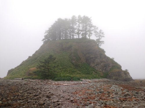 A foggy landscape featuring a rocky outcrop topped with trees, surrounded by a pebbly beach.