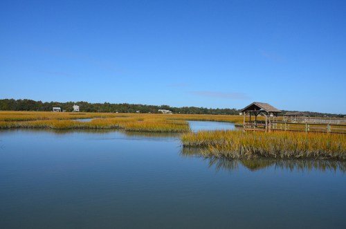 A serene marsh landscape with golden grasses, calm water, and a wooden gazebo under a clear blue sky.