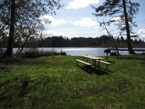 A picnic table on green grass by a serene lake, surrounded by trees and a bright blue sky with fluffy clouds.