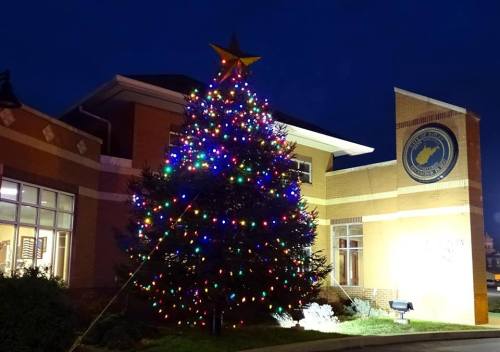 A brightly lit Christmas tree adorned with colorful lights stands outside a building at night.