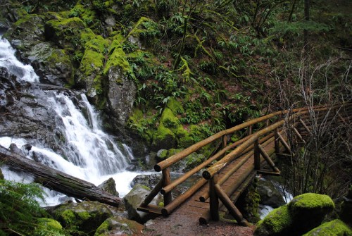 A wooden bridge crosses a mossy landscape near a flowing waterfall, surrounded by lush greenery and rocks.