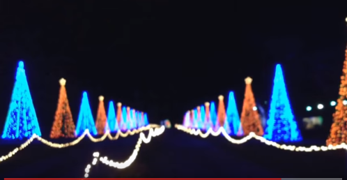 Colorful Christmas trees illuminated with blue and orange lights line a dark pathway, creating a festive atmosphere.