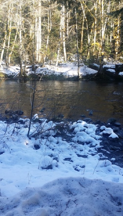 A serene winter scene with a river flowing through a snowy forest, surrounded by trees and rocky banks.