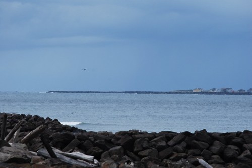 A rocky shoreline with calm ocean waters under a cloudy sky, featuring distant land and a lone bird in the sky.