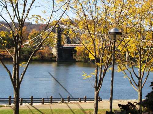 A scenic view of a river with a bridge, framed by trees with yellow leaves and a lamp post in the foreground.