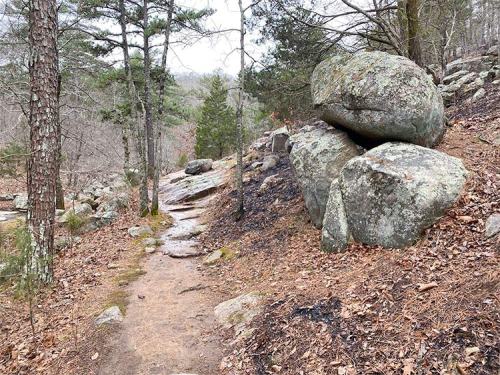 A rocky trail winds through a forest, flanked by large boulders and scattered leaves on the ground.