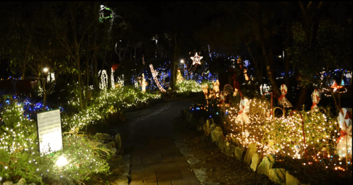 A beautifully lit pathway in a garden, adorned with colorful holiday lights and festive decorations.