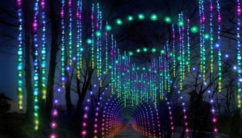 A vibrant, illuminated pathway with colorful lights hanging from trees, creating a magical tunnel effect at night.