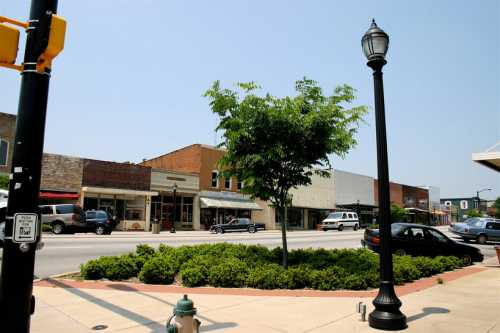 A small town street with shops, a tree, and a lamppost under a clear blue sky.