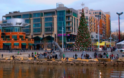 A festive waterfront scene featuring a large decorated Christmas tree, buildings, and people enjoying the holiday atmosphere.