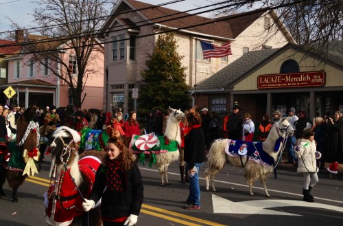 A festive parade featuring decorated llamas and people in holiday attire, with buildings and an American flag in the background.
