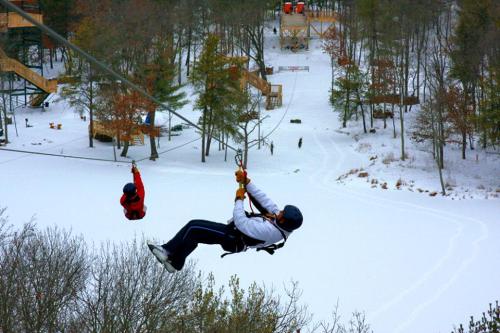 Two people ziplining over a snowy landscape, surrounded by trees and a winter scene.