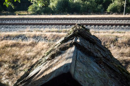 A close-up of a moss-covered roof edge with a railway track visible in the background and overgrown grass.