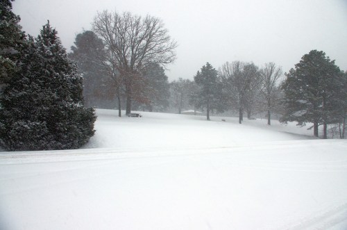 A snowy landscape with trees and a picnic area, blanketed in white under a gray, overcast sky.