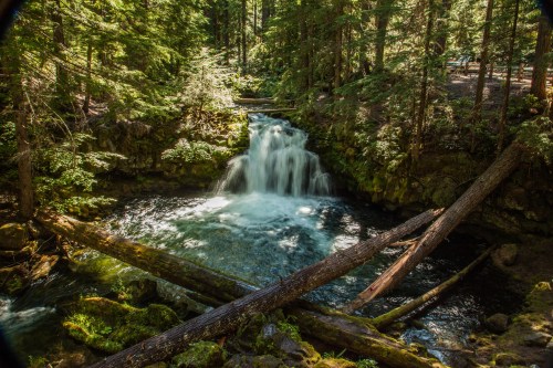 A serene waterfall cascades through a lush forest, surrounded by greenery and fallen logs.