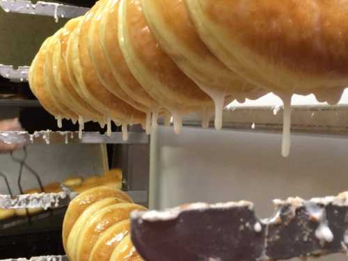 11 Best Donut Shops In Massachusetts