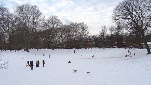 A snowy park scene with people walking dogs, sledding, and playing, surrounded by bare trees and a cloudy sky.