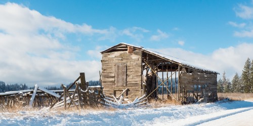 A weathered wooden barn stands in a snowy landscape under a blue sky, surrounded by a fence and tall grass.