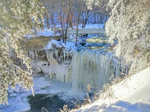 A frozen waterfall surrounded by snow-covered trees and icicles, with a bridge in the background.