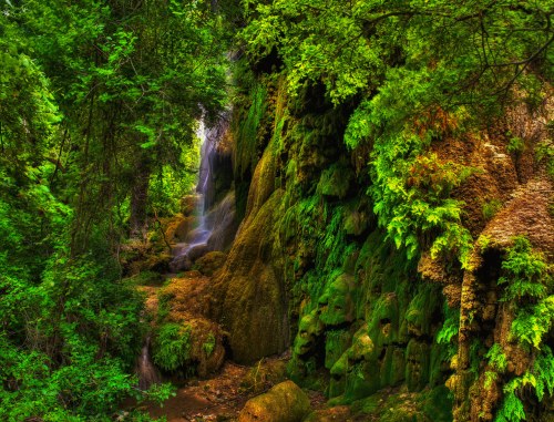 A lush green forest with a waterfall cascading down moss-covered rocks, surrounded by vibrant foliage.