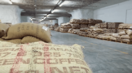 Bags of coffee beans stacked in a warehouse, with a spacious interior and concrete flooring.