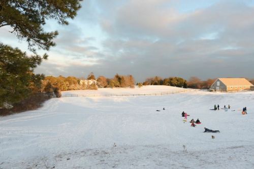 A snowy landscape with people sledding down a hill, surrounded by trees and a distant building under a cloudy sky.