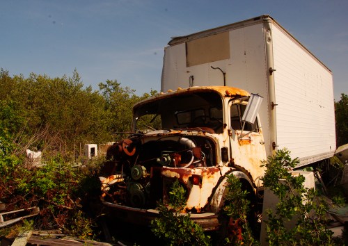 An old, rusty truck with a white trailer, surrounded by overgrown vegetation in an abandoned area.