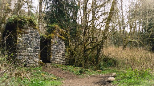 Ruins of a stone structure surrounded by trees and overgrown vegetation in a forested area.