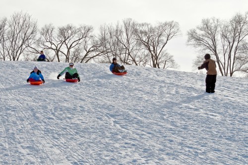 A group of people sledding down a snowy hill, with trees in the background and one person standing at the top.