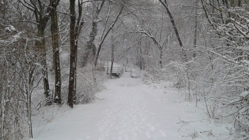 A snowy path through a forest, leading to a wooden bridge, surrounded by trees covered in white snow.