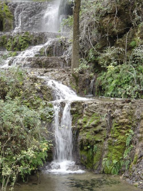 A serene waterfall cascading over moss-covered rocks, surrounded by lush greenery.