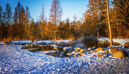 A serene winter landscape featuring a snow-covered river, rocky banks, and trees with golden foliage under a clear blue sky.