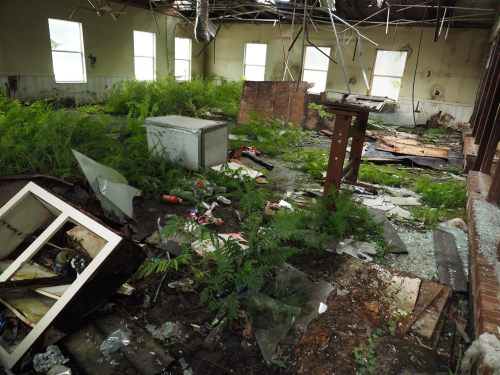 An abandoned room with overgrown plants, debris, and scattered trash, showing signs of decay and neglect.