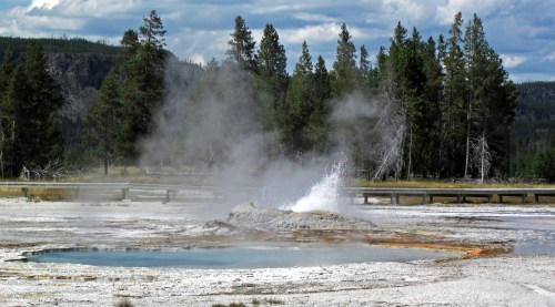 A geyser erupts in a geothermal area surrounded by trees and a cloudy sky, with steam rising from the hot spring.