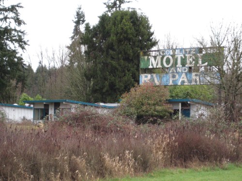 Abandoned motel and RV park with a faded sign, surrounded by overgrown vegetation and trees.