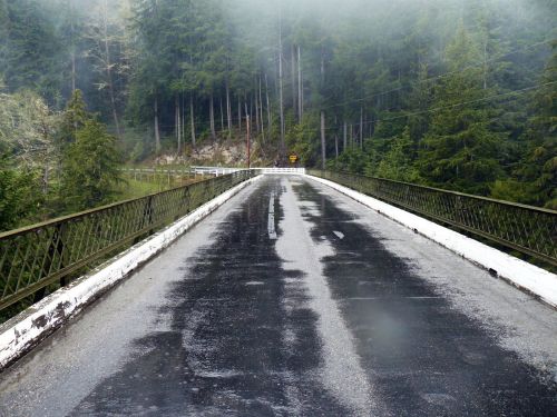 A misty road stretches over a bridge, surrounded by dense green trees and a foggy atmosphere.