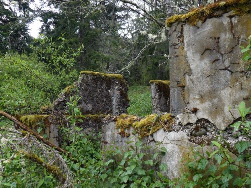 Overgrown ruins of a stone structure, partially covered in moss, surrounded by lush greenery and trees.