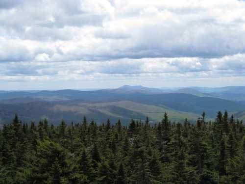 A panoramic view of rolling green mountains under a cloudy sky, with a foreground of dense evergreen trees.