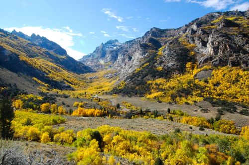 A scenic mountain valley filled with vibrant autumn foliage in shades of yellow and green under a clear blue sky.