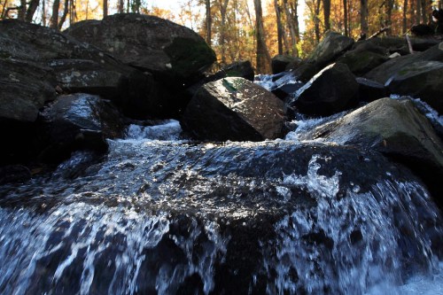 A close-up of a flowing stream over rocks, surrounded by autumn foliage and sunlight filtering through trees.