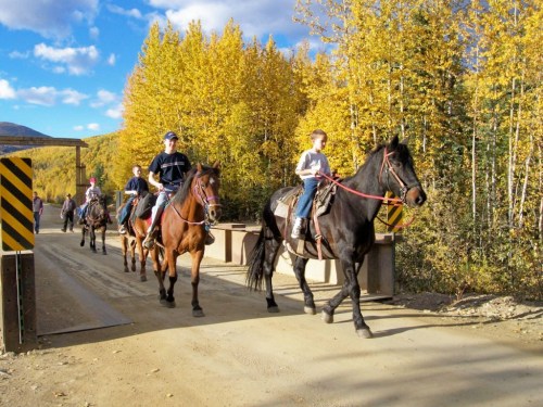 A group of people riding horses on a dirt path surrounded by vibrant autumn trees.